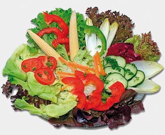 Salat Salat